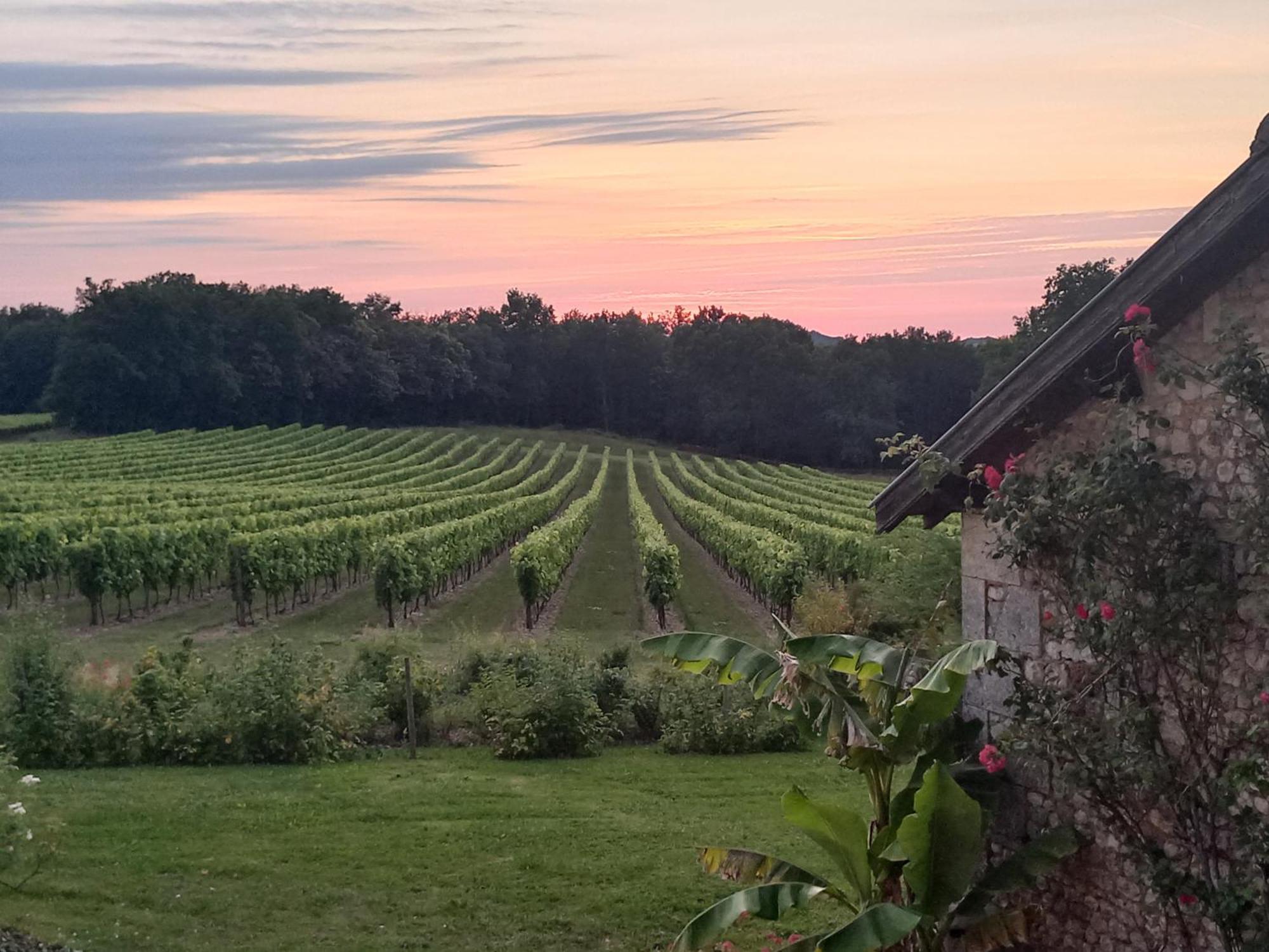 Becheresse Domaine Chez Maurice B&B 외부 사진