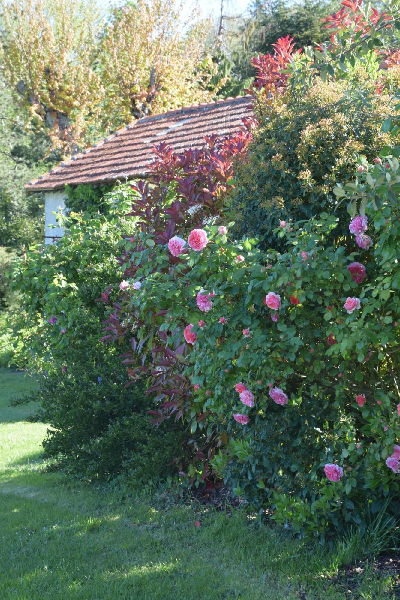 Becheresse Domaine Chez Maurice B&B 외부 사진