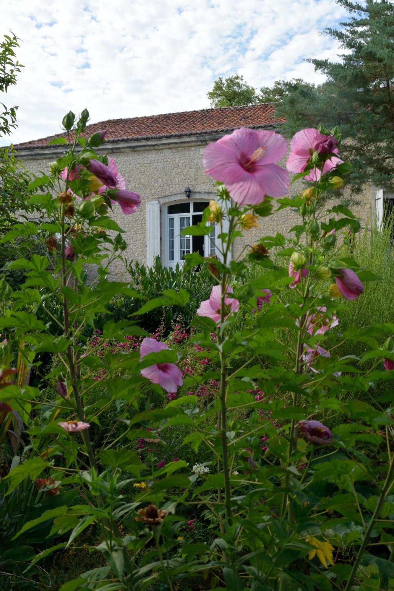 Becheresse Domaine Chez Maurice B&B 외부 사진